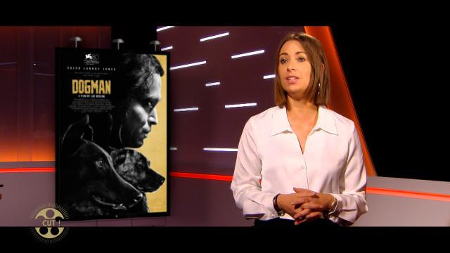 Cut, et les sorties de cette semaine ! 