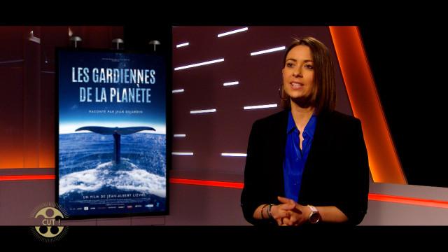 CUT, les sorties de cette semaine ! 