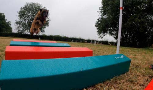 Dalhem : des chiens et des jeux sur un nouvel espace