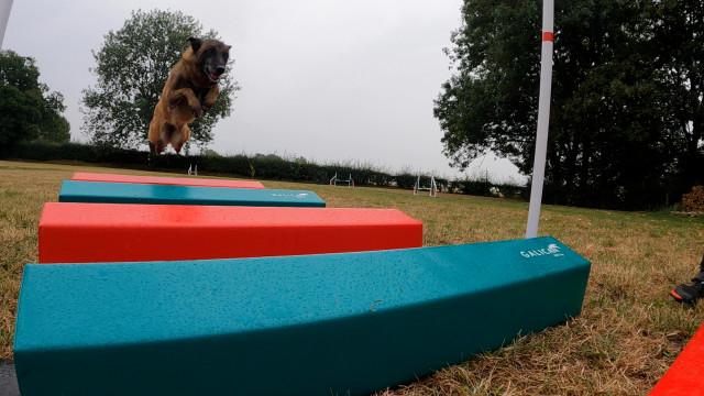 Dalhem : des chiens et des jeux sur un nouvel espace