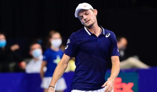 David Goffin forfait pour Vienne