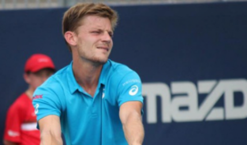 David Goffin reste 14 ème au classement ATP. Steve Darcis 119 ème