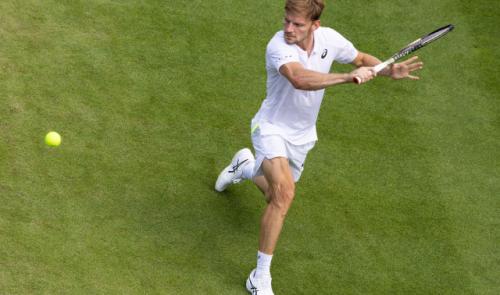 David Goffin se qualifie aisément pour le troisième tour