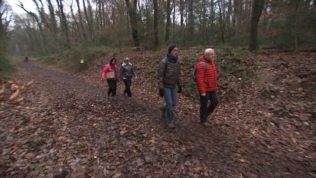 Découverte de la marche en forêt sérésienne