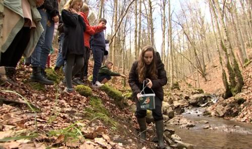 Des centaines de saumons relâchés dans nos rivières