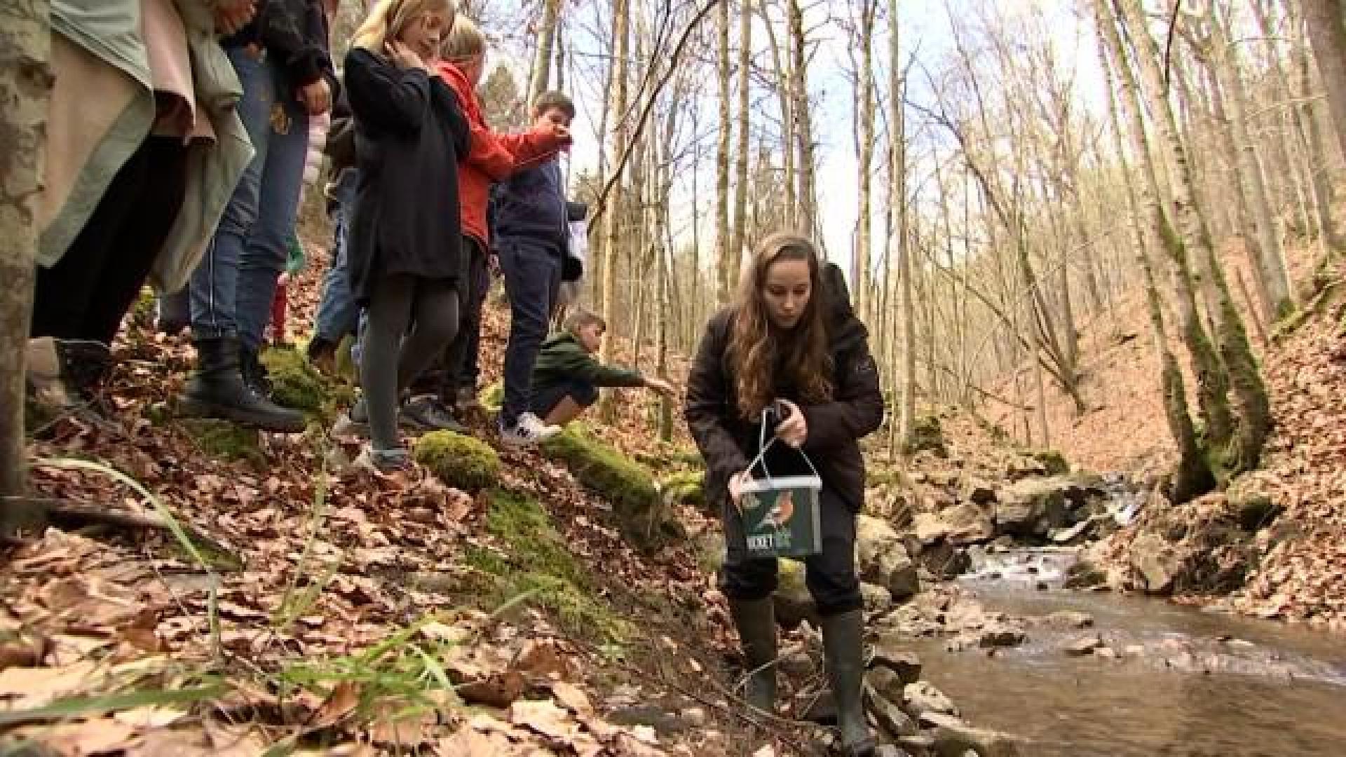 Des centaines de saumons relâchés dans nos rivières