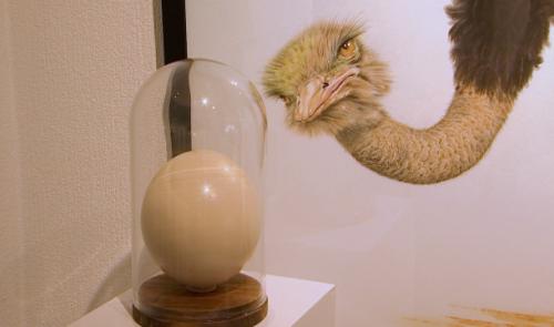 Des oeufs au profit de la recherche à la Galerie Liehrmann