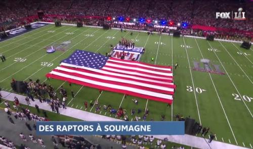 Des raptors à Soumagne