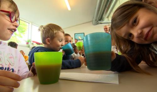Des repas gratuits pour des élèves défavorisés