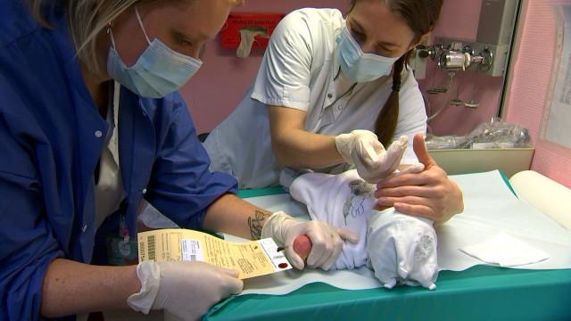 Détecter de nouvelles maladies dès la naissance, avec une simple prise de sang 