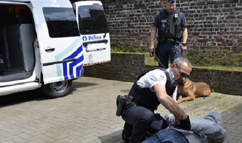 Deux jeunes, dont un mineur, arrêtés pour des vols avec violence