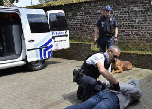Deux jeunes, dont un mineur, arrêtés pour des vols avec violence