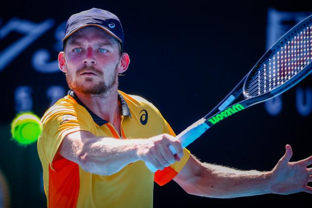 Doha : David Goffin qualifié et impatient de voir Féderer à l'oeuvre 