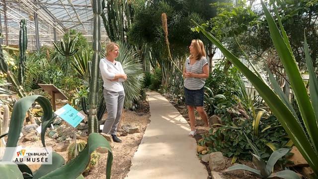 En Balade à l'Observatoire du Monde des Plantes 
