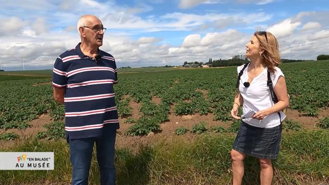 En Balade : la balade des champs ouverts à Merdorp 