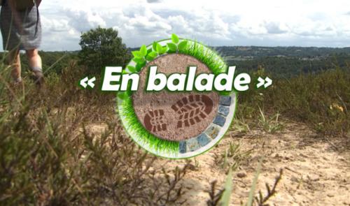 En balade : le terril du Gosson avec Natagora 