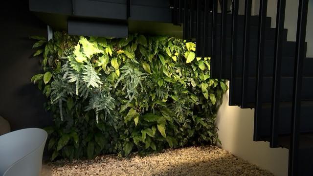 Faire entrer la nature dans les bâtiments 