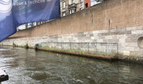 Biodiversité : des fascines végétalisées le long de la Dérivation