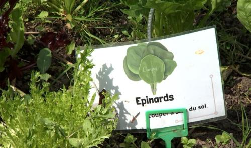 Fermes ouvertes à Braives tous les week-ends de juin