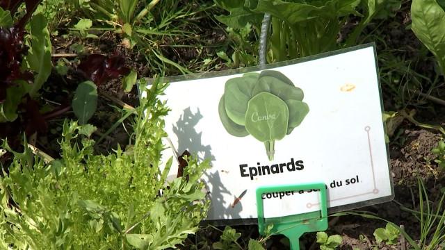 Fermes ouvertes à Braives tous les week-ends de juin