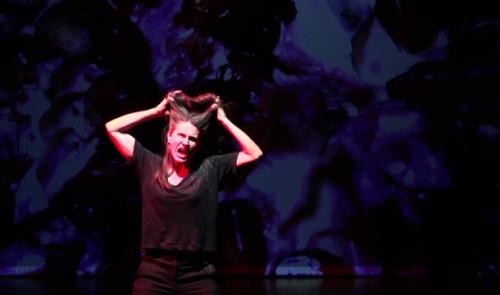 Festival d'Avignon : le Théâtre des Doms 
