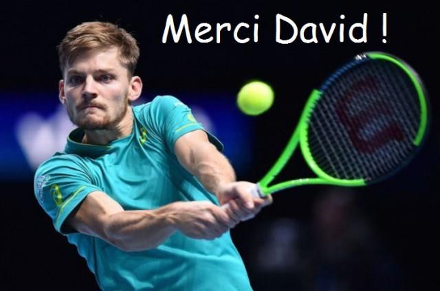 Fin du rêve, Goffin perd la finale du Masters 