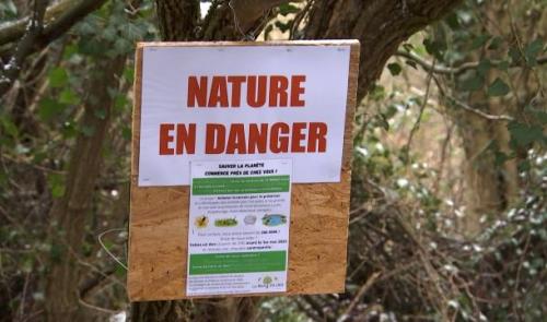 Flémalle: Crowdfunding pour sauver le Bois d'à côté