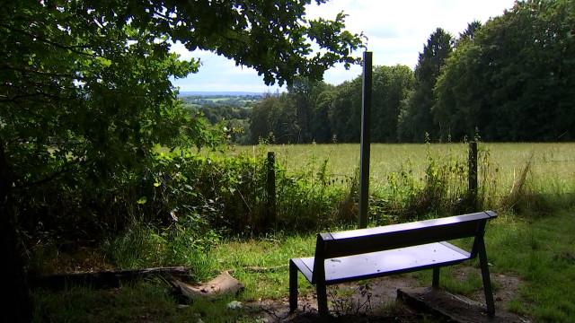 Fléron veut protéger à vie le petit bois des Grimonprés