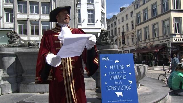 GAIA veut mobiliser les liégeois au bien-être animal ! 
