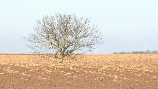 Générations Terre: comment aller vers une agriculture durable