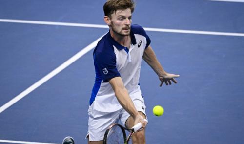 Goffin débute sa préparation par un succès