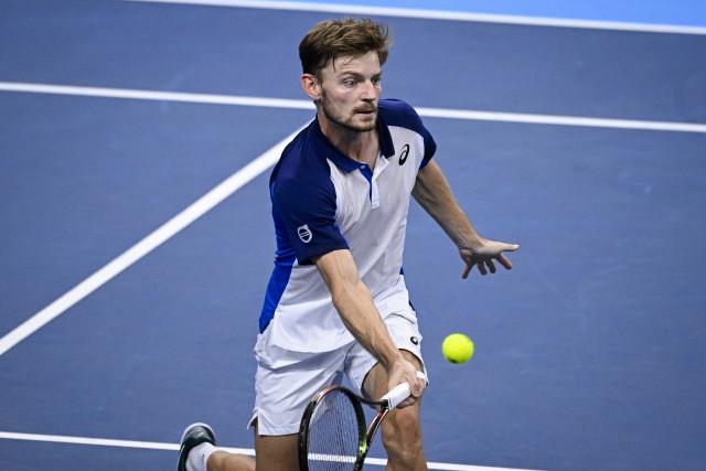 Goffin débute sa préparation par un succès