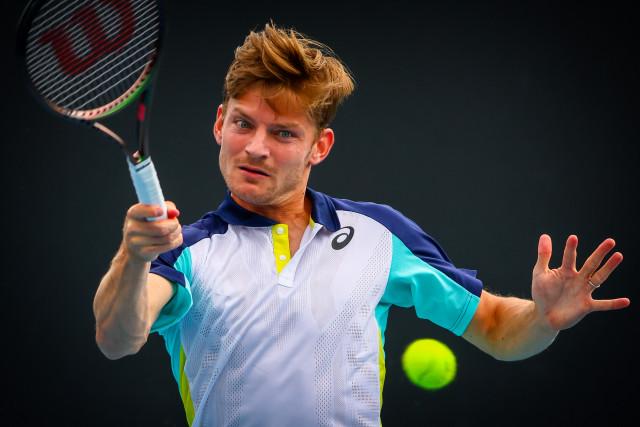 Goffin : "Mon meilleur match depuis un moment"