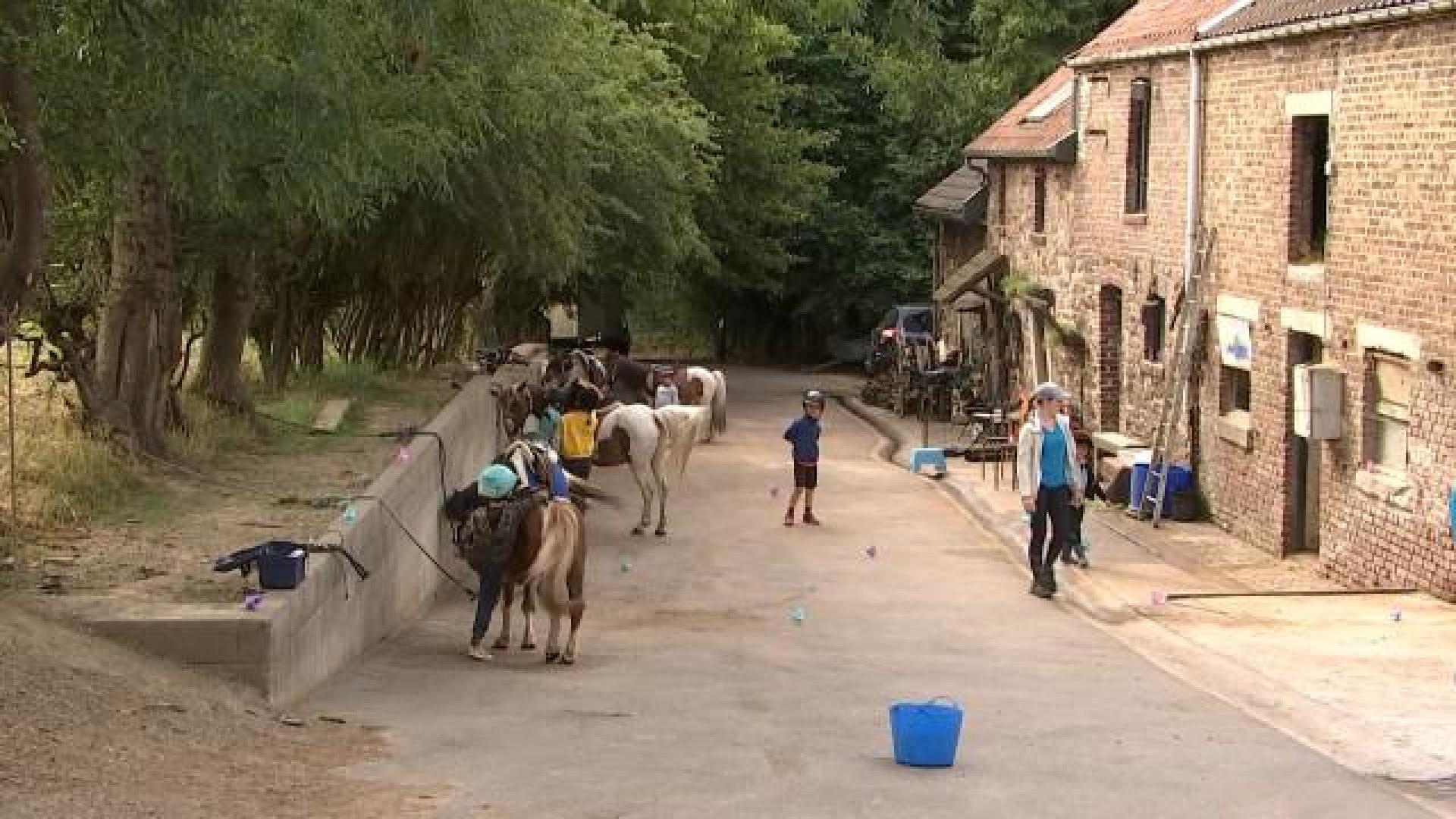 Gomzé-Andoumont: l'asbl Pégase a du mal à nouer les deux bouts