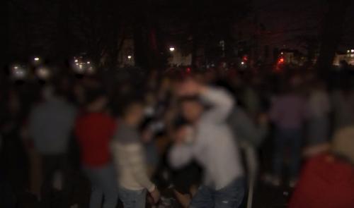 Grand rassemblement au parc de la Boverie (vidéo)