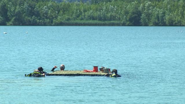 Gravière d'Amay : un reposoir pour les oiseaux 