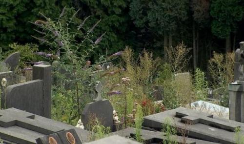 Grivegnée : un cimetière en évolution 