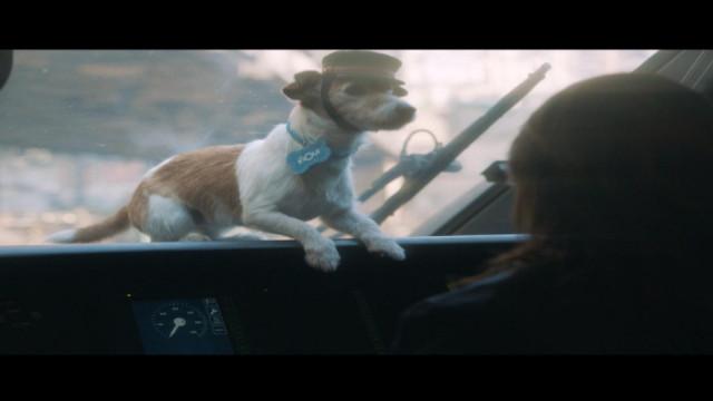 HaÍ¯ko, la mascotte liégeoise de la SNCF!