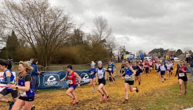 Hannut : Du cross rien que du cross ! 