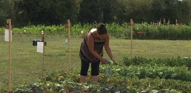 Héron : le potager du CPAS accessible 7 jours sur sept 