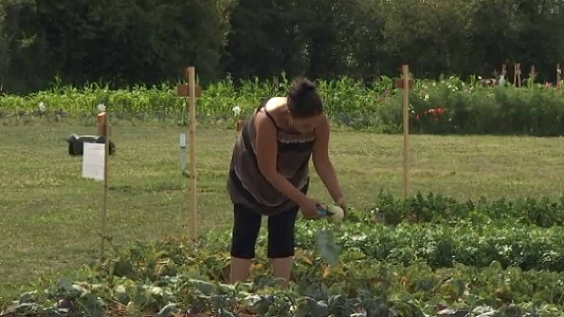 Héron : le potager du CPAS accessible 7 jours sur sept 
