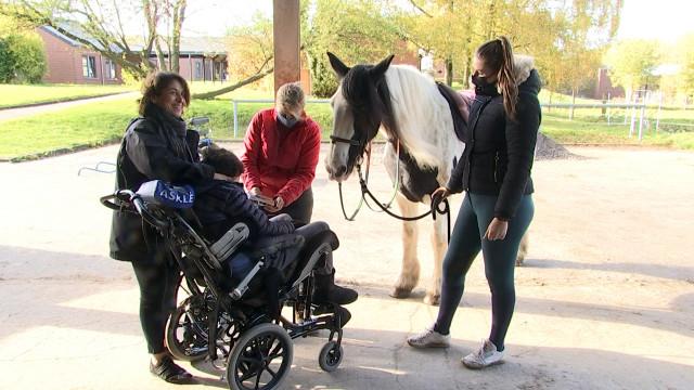 Hippopassion fête ses 25 ans avec le projet d'un nouveau centre