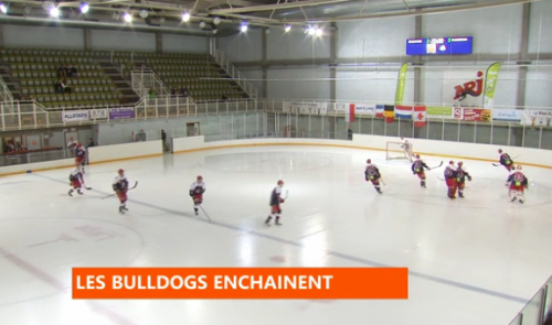 Hockey sur glace : les Bulldogs Liège sont ambitieux 