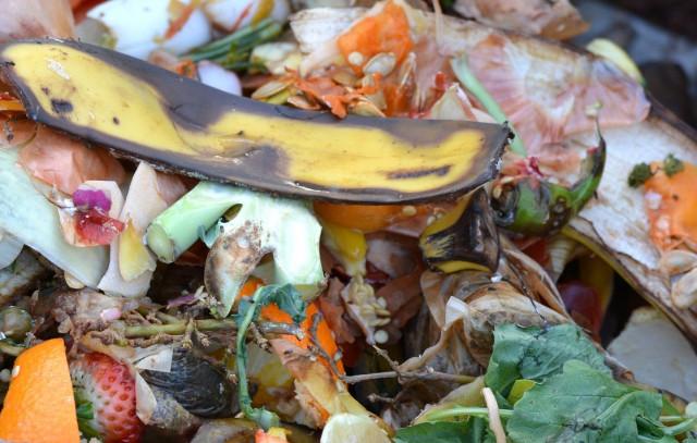 Huy : bilan positif de la collecte des déchets organiques