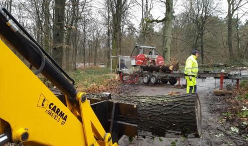 Huy : une scierie mobile pour valoriser les arbres communaux
