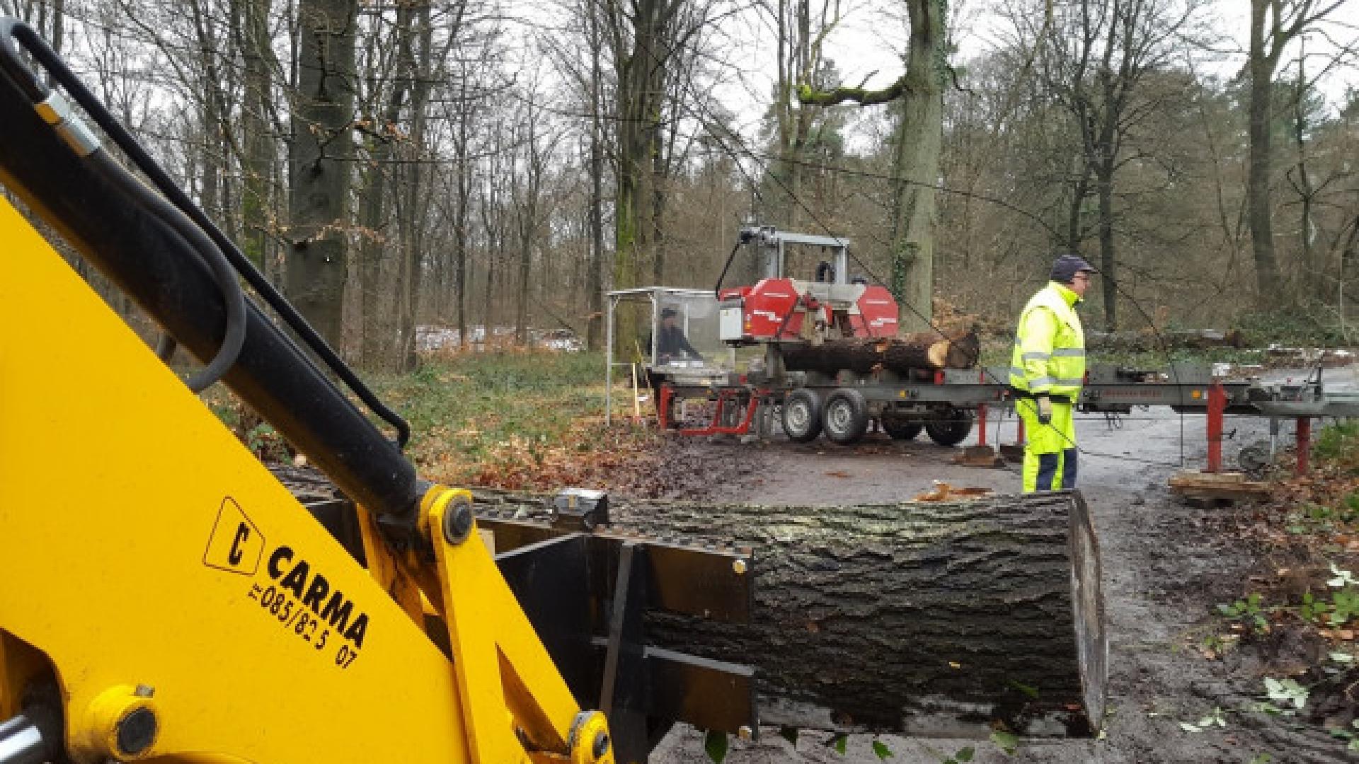 Huy : une scierie mobile pour valoriser les arbres communaux