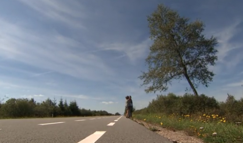 Il a photographié 400 fois le même arbre... Le résultat a fait le buzz ! 