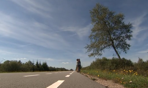 Il a photographié 400 fois le même arbre... Le résultat a fait le buzz ! 