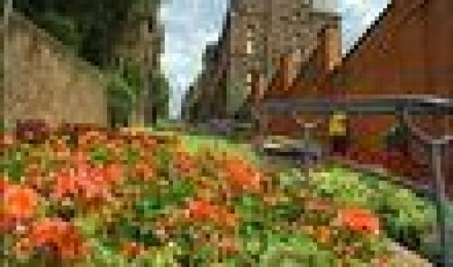 La Montagne de Bueren en fleur