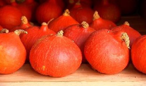 Saveurs de chez nous 10 décembre 2014